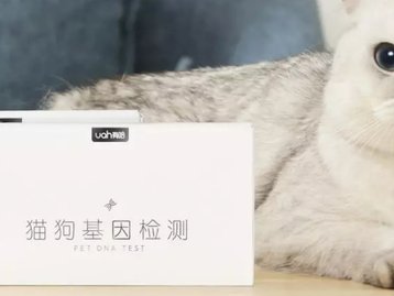 Xiaomi apresenta teste genético que identifica doenças em pets 