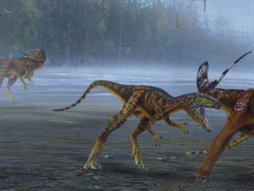 Alossauro: dinossauro recém-descoberto era um dos terrores do Jurássico
