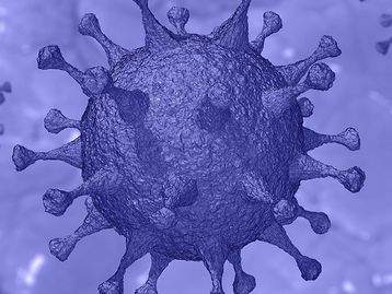 Testes de vacina contra Coronavírus começam nos EUA