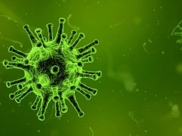 Vacinas contra o coronavírus já estão sendo testadas em humanos