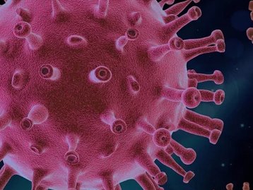 Estudo revela: coronavírus não foi feito em laboratório