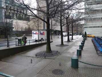 5 fotos de Nova York deserta durante a pandemia do Coronavírus