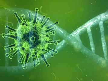 Brasil começa a testar hidroxicloroquina em tratamento da Covid-19