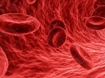 Cientistas chineses estudam anticorpos eficazes contra o coronavírus