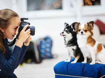 Melhore as suas fotografias com estas 5 dicas
