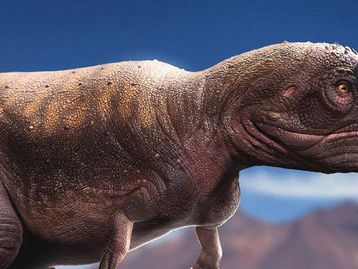 Qual foi o lugar mais perigoso da Terra na História?