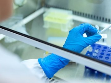 Voluntários serão infectados para testar vacinas contra covid-19