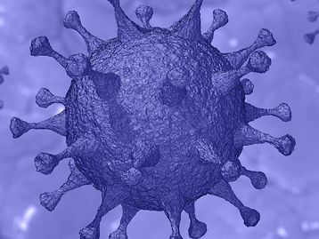 Site prevê datas para o fim da pandemia do coronavírus