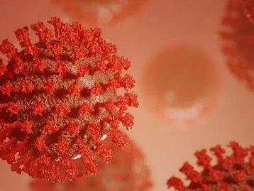 Pesquisadores debatem se mutação tornou novo coronavírus mais contagioso
