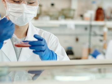 Hidroxicloroquina não previne covid-19, conclui estudo