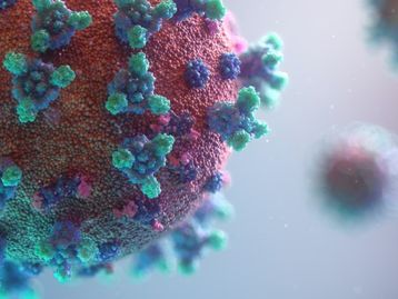 Vacina brasileira contra covid-19 começa a ser testada em animais