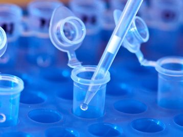 CRISPR pode gerar consequências graves em embriões, indica estudo