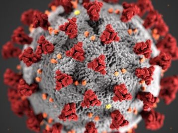 Coronavírus: descarga sem tampa pode contaminar todo o banheiro