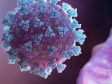 Imunidade à covid-19 é maior do que indicam os testes, diz estudo