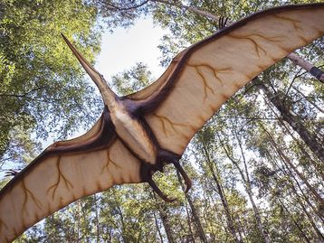 Fóssil indica que ancestrais de dinossauros eram pequenos