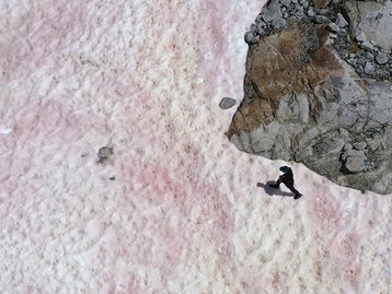 Camada de neve rosa nos Alpes italianos preocupa cientistas