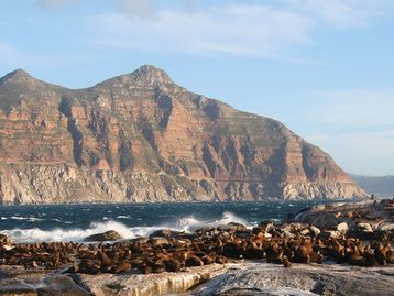 Divisão do continente africano influencia surgimento de oceano