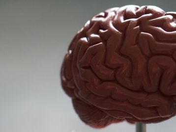 Neuralink vai enviar músicas para o cérebro, diz Elon Musk