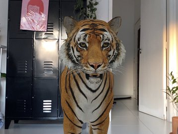 Como ver animais em 3D no Google usando o celular