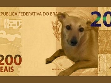 Fora da nota de R$ 200, vira-lata caramelo deve 'virar moeda'