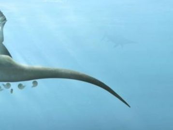 Nova espécie de dinossauro é descoberta em ilha na Inglaterra