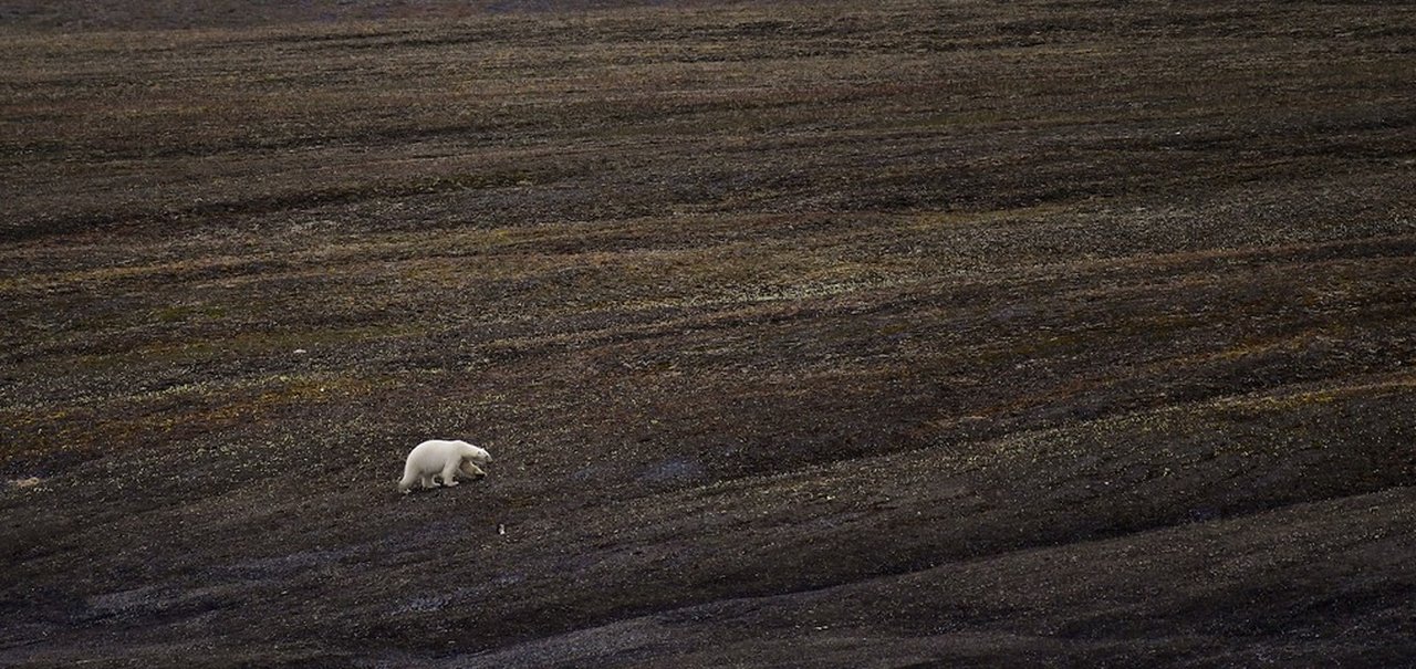 Terra perdeu 28 trilhões de toneladas de gelo em 2 décadas