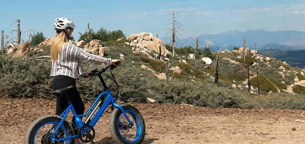 Pedego lança bike elétrica 'barata' para aumentar concorrência