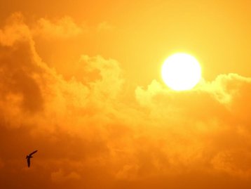 Onda de calor histórica continua nesta sexta-feira (02)