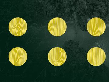 Desmatamento na Amazônia: mundo corre risco de novas pandemias 