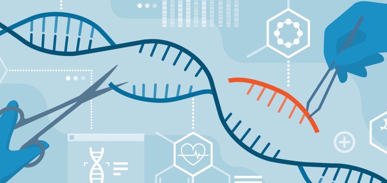 Nobel de Química: descobridoras da edição de genes CRISPR ganham prêmio