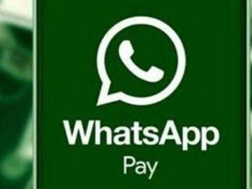 WhatsApp Pay deve começar a funcionar em novembro, diz Cielo 