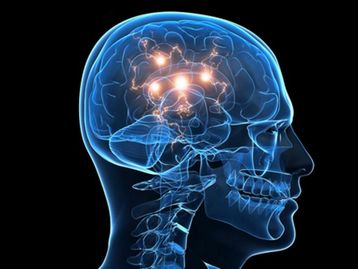 Startups europeias estão anos à frente da Neuralink em biohacking