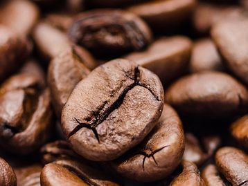 Black Friday Brasil: cafeteiras populares para ficar de olho