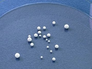 Miniórgãos criados em laboratório ajudam a compreender a covid-19