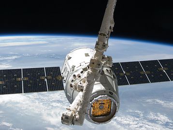 Astronautas levam aranhas para Estação Espacial Internacional