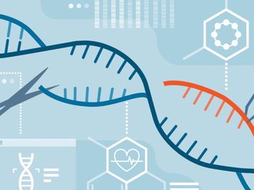 CRISPR: doentes com genes editados estão a um passo da cura