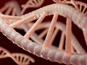 Clínica faz exame de DNA para tratamento de pele personalizado no RJ
