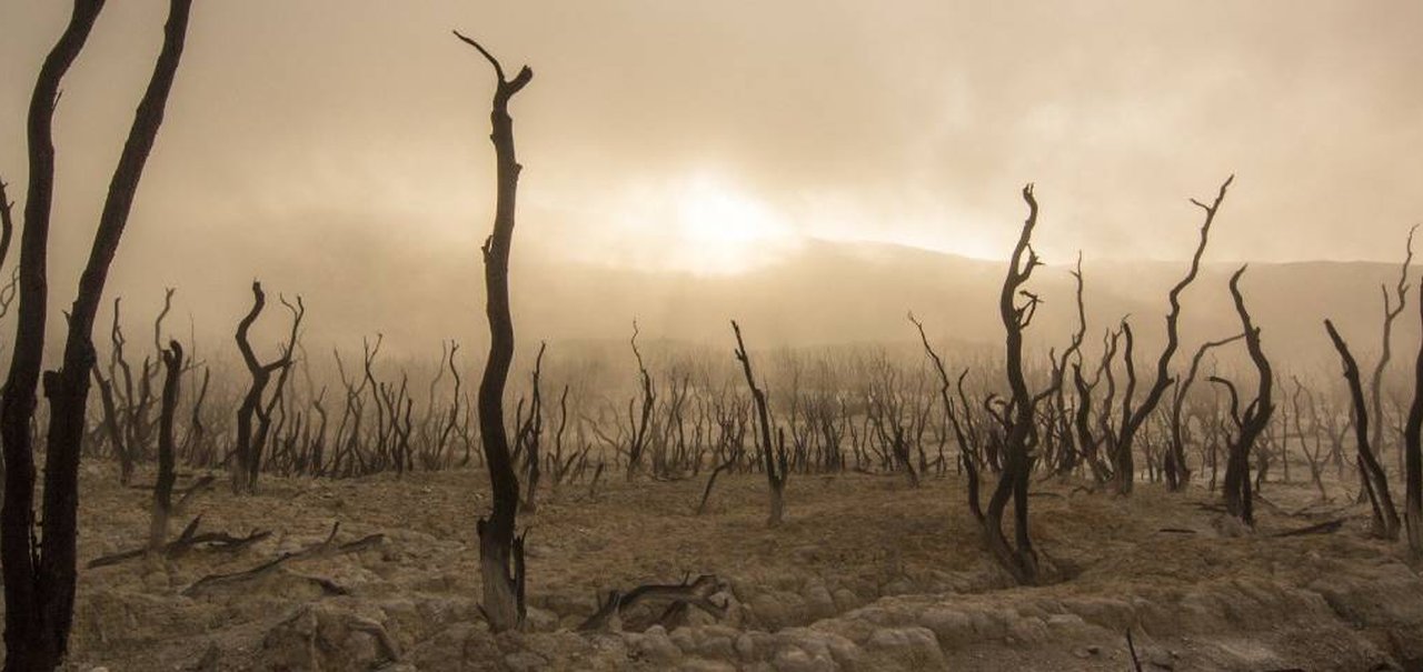 Terra está 'morrendo' rápido demais, indicam pesquisadores