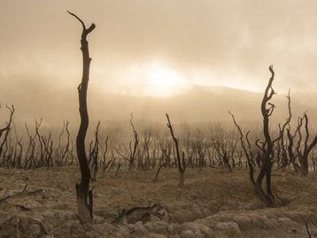Terra está 'morrendo' rápido demais, indicam pesquisadores