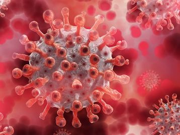 Brasileira descobre proteína chave para tratamento da covid-19