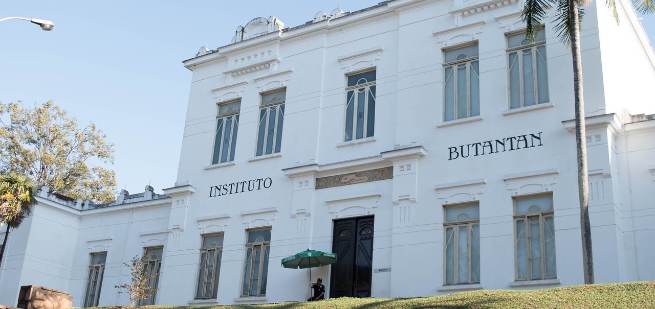 Instituto Butantan anuncia app para monitorar covid-19 nas cidades