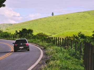 Carro autônomo é comandado por 'cérebro de minhoca' 