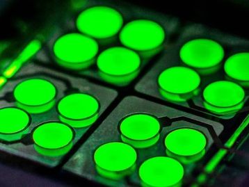 Cientistas criam tatuagem iluminada de OLED removível com água e sabão