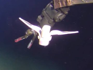 Engenheiros criam robô resistente à Fossa das Marianas