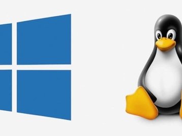 Ex-programador da Microsoft diz que Linux é mais seguro que Windows