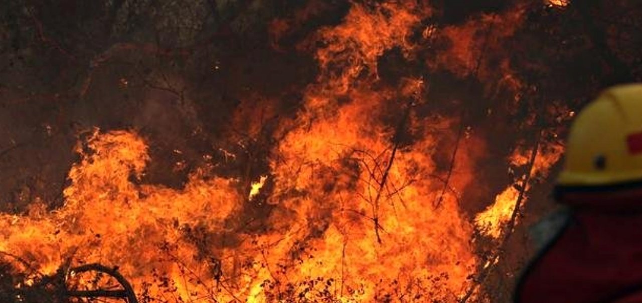 Incêndios ameaçam capacidade de florestas de armazenarem CO2