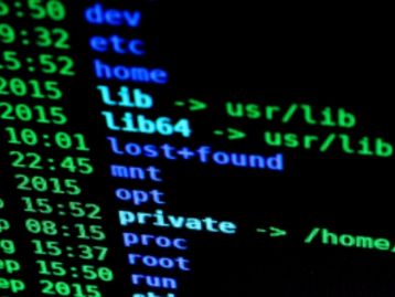 PF prende hacker suspeito de vazar dados de 223 milhões de brasileiros
