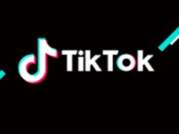 TikTok apresenta falha que zera seguidores nesta segunda-feira (03)