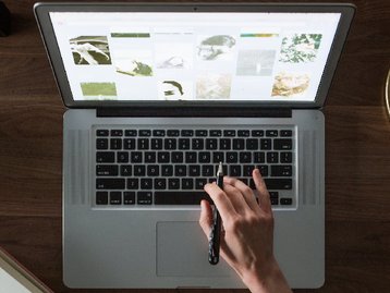 Descubra como escolher a melhor hospedagem para o seu site