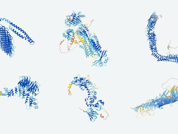 DeepMind vai liberar estruturas de todas as proteínas conhecidas